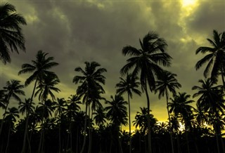 Anguilla hava tahmini
