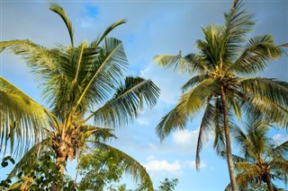 Anguilla vejrudsigt