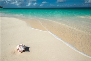 Anguilla vejrudsigt