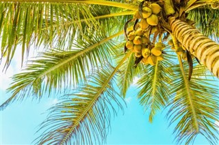 Antigua ve Barbuda hava tahmini