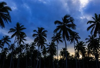 Antigua ve Barbuda hava tahmini