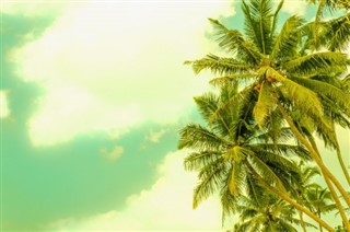 Antigua ve Barbuda hava tahmini