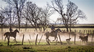 Argentina pronóstico del tiempo