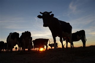 Argentina pronóstico del tiempo