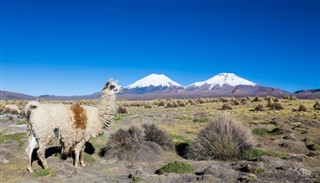 Argentina vejrudsigt