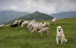 Ermenistan hava tahmini