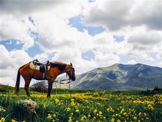 أرمينيا توقعات الطقس