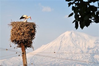 Ermenistan hava tahmini