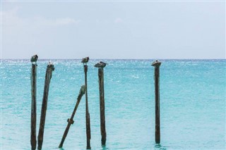 Aruba hava tahmini