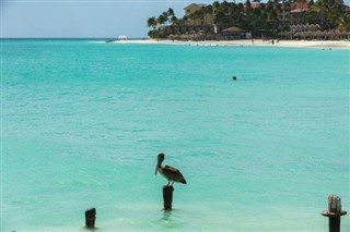 Aruba vejrudsigt