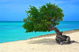 Aruba hava tahmini