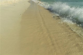 Aruba vejrudsigt