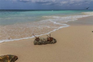 Aruba vejrudsigt