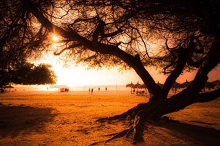 Aruba vejrudsigt