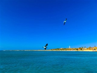 Aruba vejrudsigt