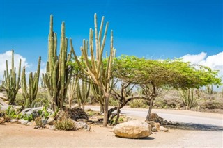 Aruba hava tahmini