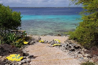 Aruba prévisions météorologiques