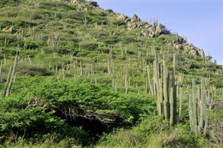 Aruba vejrudsigt