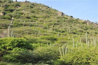 Aruba prévisions météorologiques