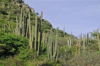 Aruba hava tahmini