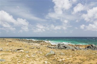 Aruba prévisions météorologiques