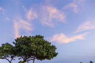 Aruba hava tahmini