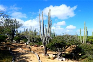 Aruba hava tahmini