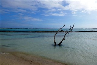 Aruba Hava tahmini