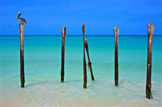 Aruba hava tahmini