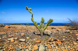 Aruba vejrudsigt