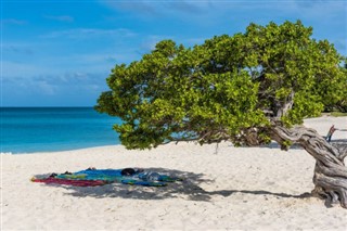 Aruba vejrudsigt