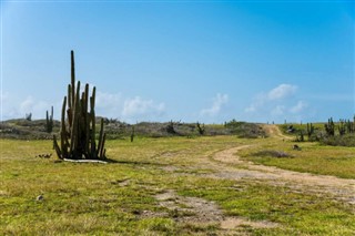 Aruba hava tahmini