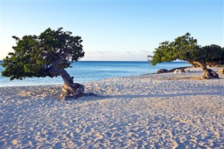 Aruba hava tahmini
