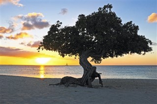 Aruba prévisions météorologiques