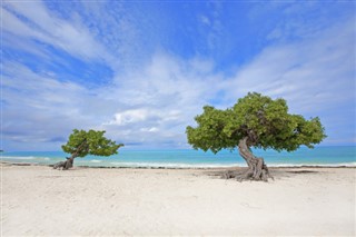 Aruba hava tahmini
