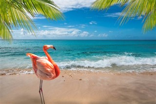 Aruba vejrudsigt