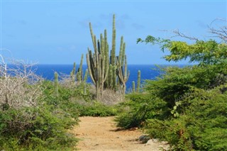 Aruba prévisions météorologiques