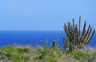Aruba vejrudsigt