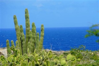 Aruba vejrudsigt