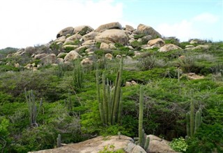 Aruba hava tahmini
