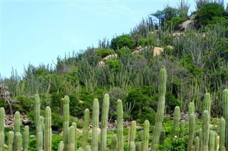 Aruba hava tahmini