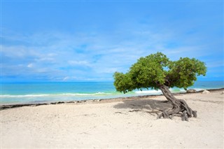 Aruba Previsioni del tempo
