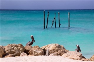 Aruba vejrudsigt