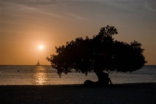 Aruba hava tahmini