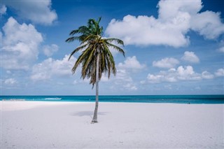Aruba vejrudsigt