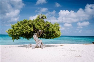 Aruba hava tahmini