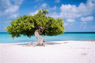 Aruba vejrudsigt