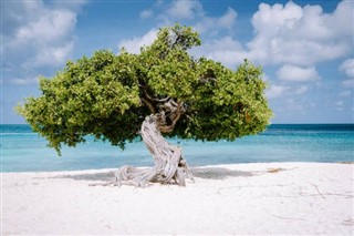 Aruba időjárás-jelentés