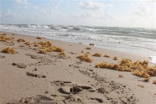 Aruba hava tahmini