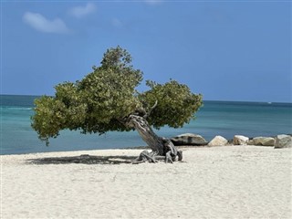 Aruba pronóstico del tiempo